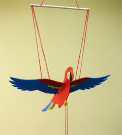 Wędrowna Papuga